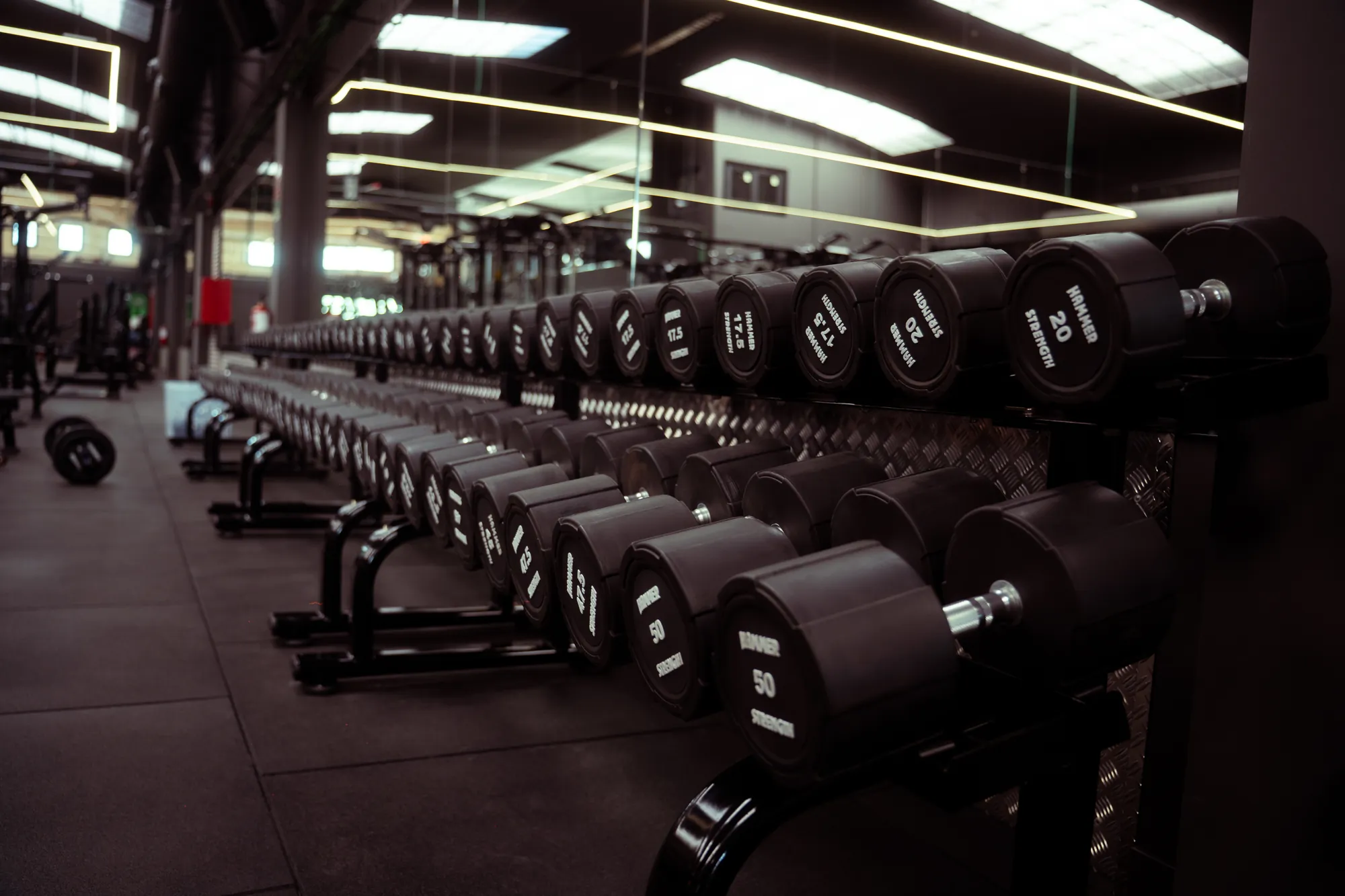 Rack de mancuernas de la sala fitness